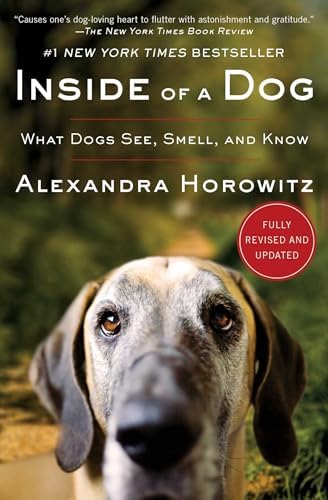 Excel-erated Learning: Explaining in plain English how dogs learn